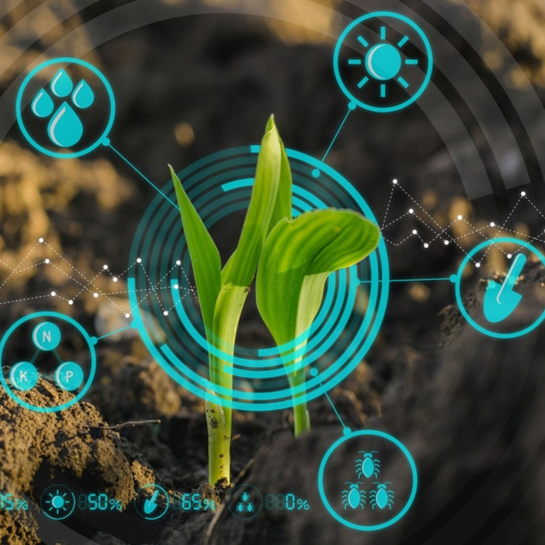 Machine learning in agriculture